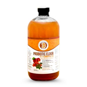 K&ouml;nnte beinhalten: Eine Glasflasche mit probiotischem Elixier mit Kombucha-Tee, Apfel, Zimt und Ingwer. Die Flasche hat ein wei&szlig;es Etikett mit dem Text "Probiotic Elixir with Kombucha Tea Apple Cinnamon Ginger" und ein Logo eines stilisierten Darms.