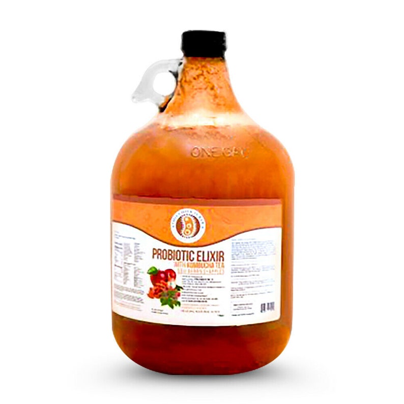 K&ouml;nnte beinhalten: Ein gro&szlig;er Glaskrug gef&uuml;llt mit einer leuchtend orangenen Fl&uuml;ssigkeit. Der Krug hat einen schwarzen Deckel und einen Griff. Das Etikett auf dem Krug lautet "Probiotic Elixir with Kombucha Tea".