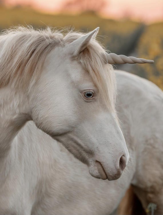 Corne De Licorne Blanche 15 Cm Avec Laçage Or - À Clipser - Déguisement