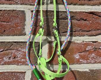 Set cavezza per Hobby Horse con corda di guida *SU MISURA* molti colori * anche con targhetta con il nome (opzionale)