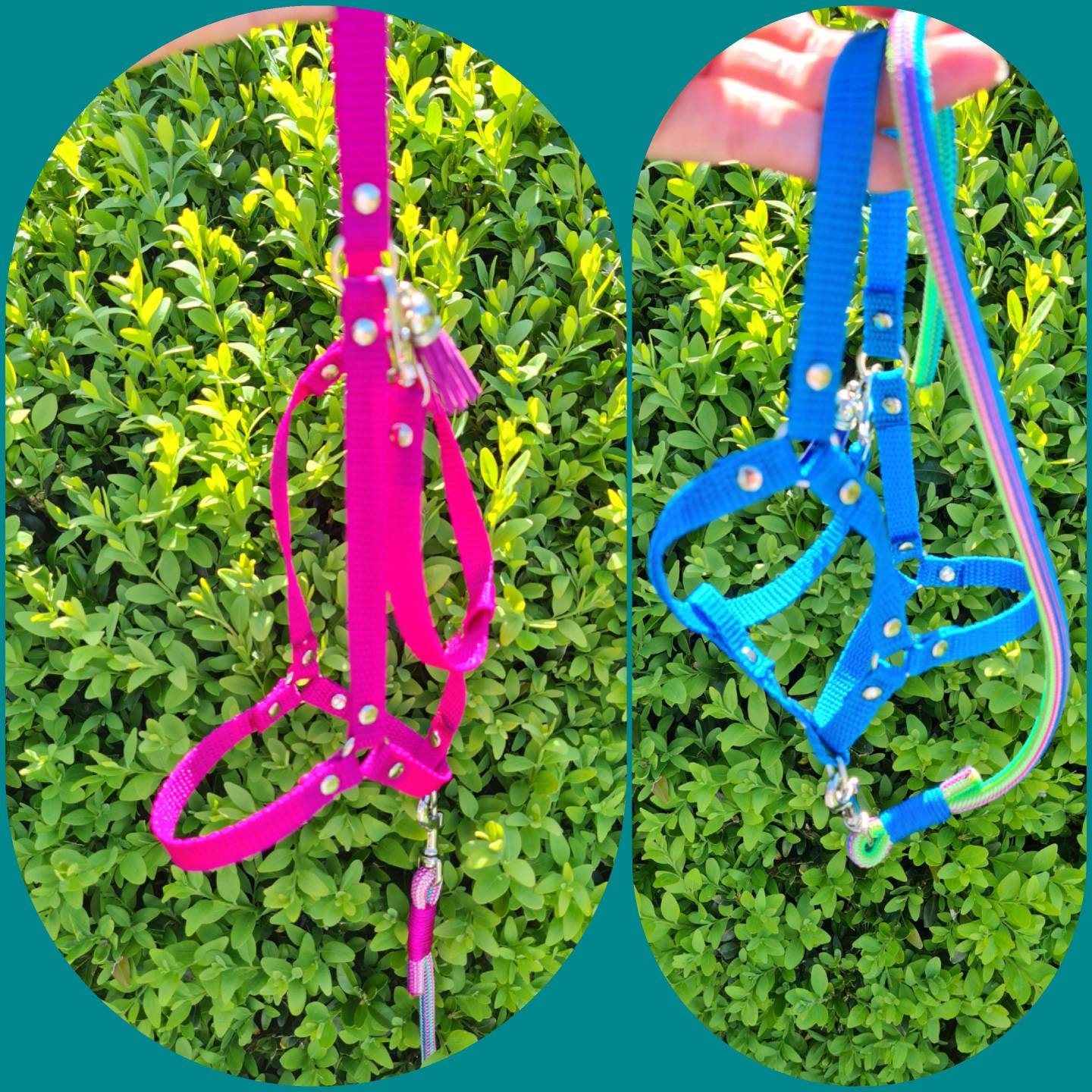 Hobby Horse Halfter Set mit Strick MAßANFERTIGUNG Strick Etsy