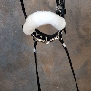 Pu&ograve; includere: Un cavezza per cavalli nera con un nasello in pile bianco e un morso in argento. La cavezza ha una fila di strass sulla fronte.