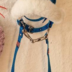 Pu&ograve; includere: Un cavezza turchese per cavallo con un nasello in pile bianco e un frontalino con perline rosse e bianche.