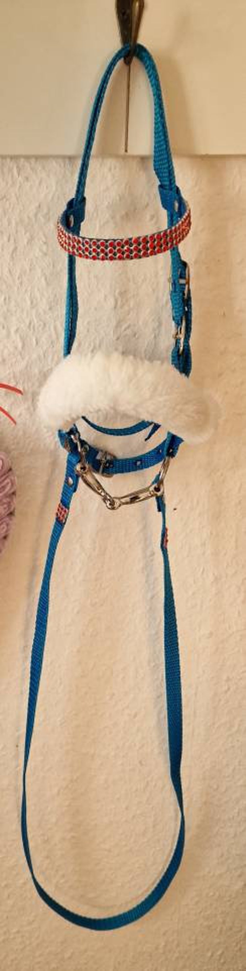 Pu&ograve; includere: Un cavezza turchese per cavallo con un nasello in pile bianco e un frontalino con perline rosse e bianche.