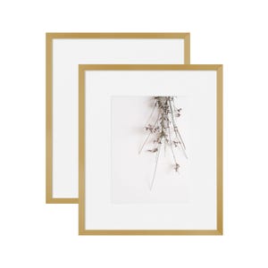 May include: Two gold picture frames with a white mat and a white background. The inner frame is slightly smaller than the outer frame. The image inside the frame is a photograph of a sprig of dried flowers.