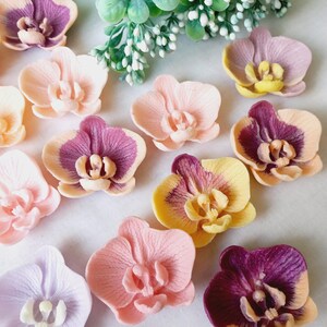 Può includere: Assortimento di 10 fiori di orchidea artificiali fatti a mano in vari colori, tra cui viola, rosa, giallo e bianco. I fiori sono realizzati in pasta polimerica e hanno un aspetto realistico.