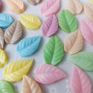 50 zeepjes met miniblaadjes: onverpakte wegwerpzeep voor feestjes