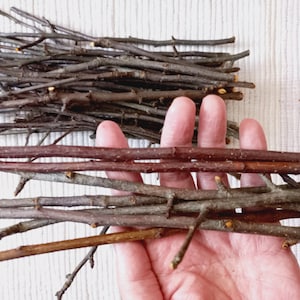 50 pcs Apple sticks, apple twigs, apple chew chunks, apple twiglets, treats for small pets, chinchilla, degu, rabbit, hamster, gerbil, rat.
