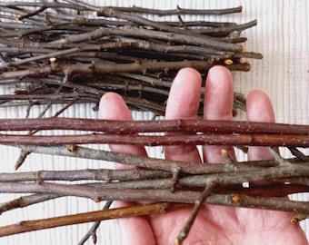 Masticables de madera de manzano: ramitas naturales para conejos, chinchillas y hámsteres