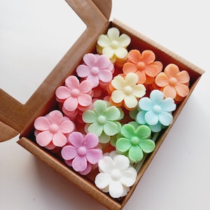 Può includere: Una collezione di oggetti colorati a forma di fiore in una scatola di cartone marrone con una finestra trasparente. I fiori sono in tonalità di rosa, arancione, giallo, verde e blu. La scatola è aperta, rivelando il contenuto.