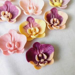 Può includere: Un assortimento di decorazioni a forma di orchidea in vari colori. I fiori presentano sfumature di rosa, giallo e viola, con dettagliate trame dei petali. La disposizione è posta su uno sfondo bianco, evidenziando i colori vivaci dei motivi floreali.
