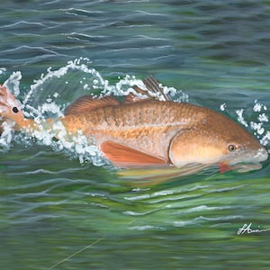 Redfish Fighting in Water Splash Original print, Louisiana Redfish Fighting Hook Original Print