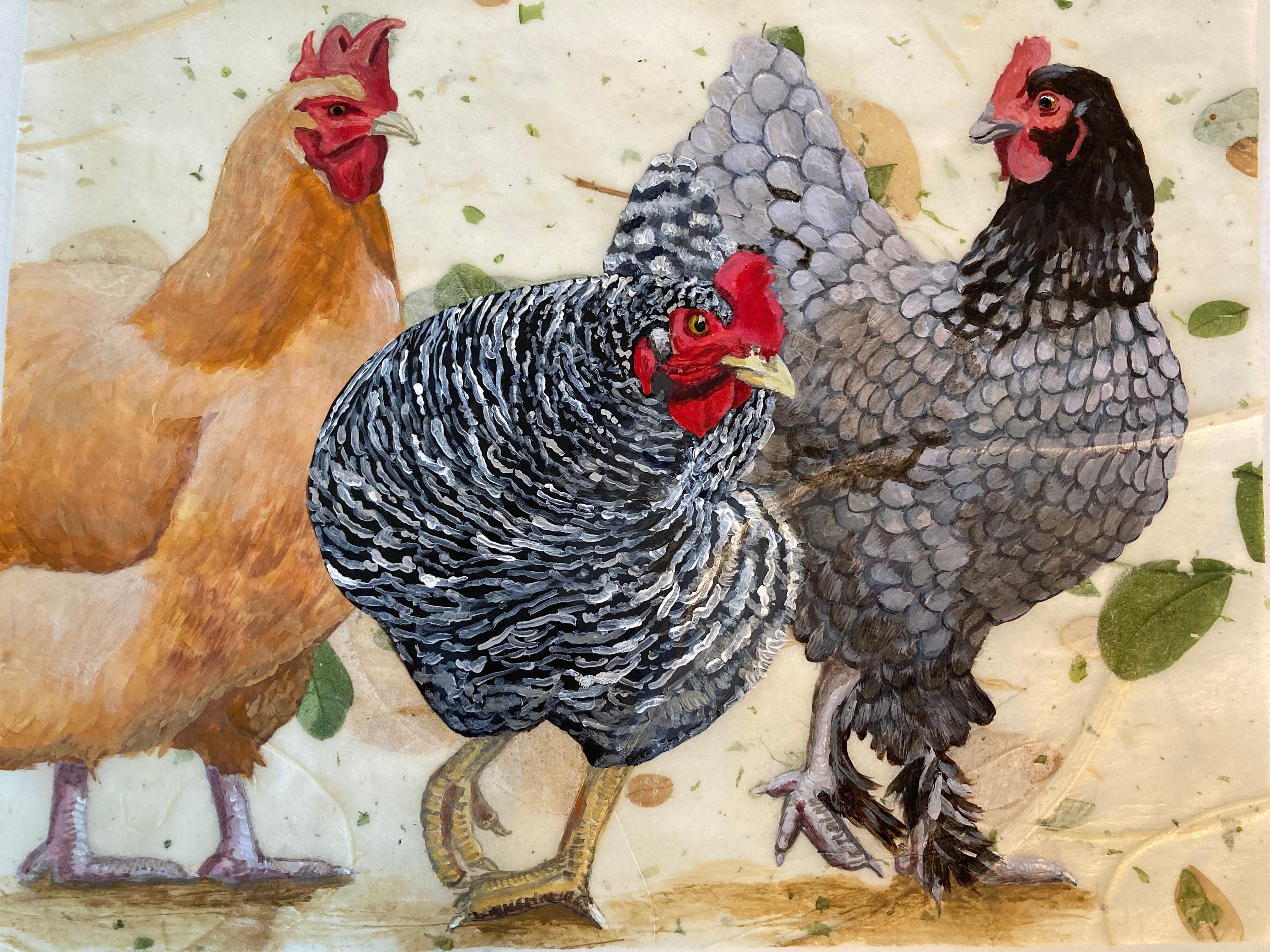 Black Orpington - Etsy, image size:3000x2250