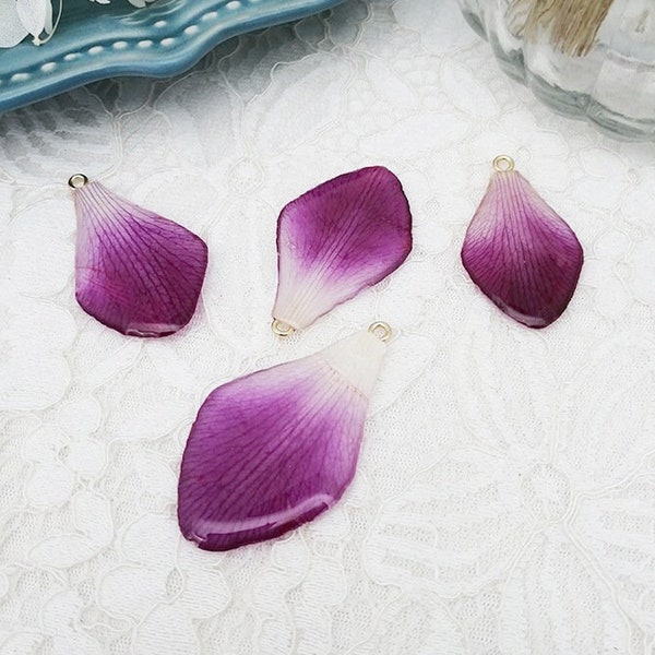 Real Flower Petals Etsy