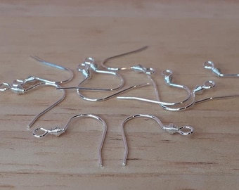 Silver Earing Hooks, 304 Stainless Steel Earring Hooks, Silver Ear Wires, Hypoallergenic Earring Findings