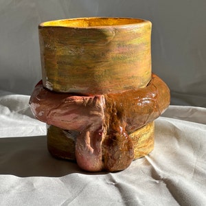 May include: A ceramic planter with a textured, brown and gold glaze. The planter has a unique, organic shape with a raised, rounded section.