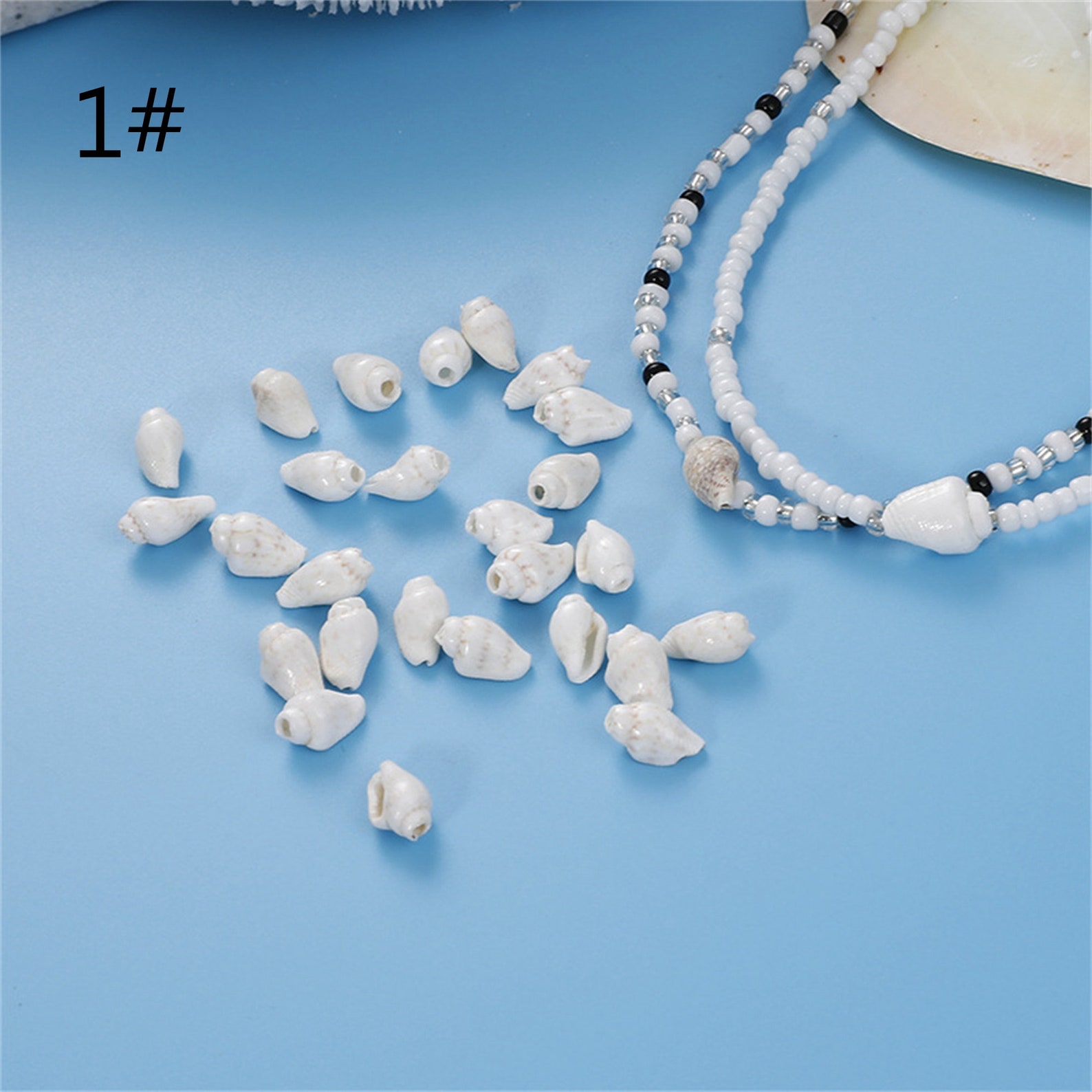 100pcs Natural Miniature Conch Shells, Natural Sea Conch Shell Bead ...