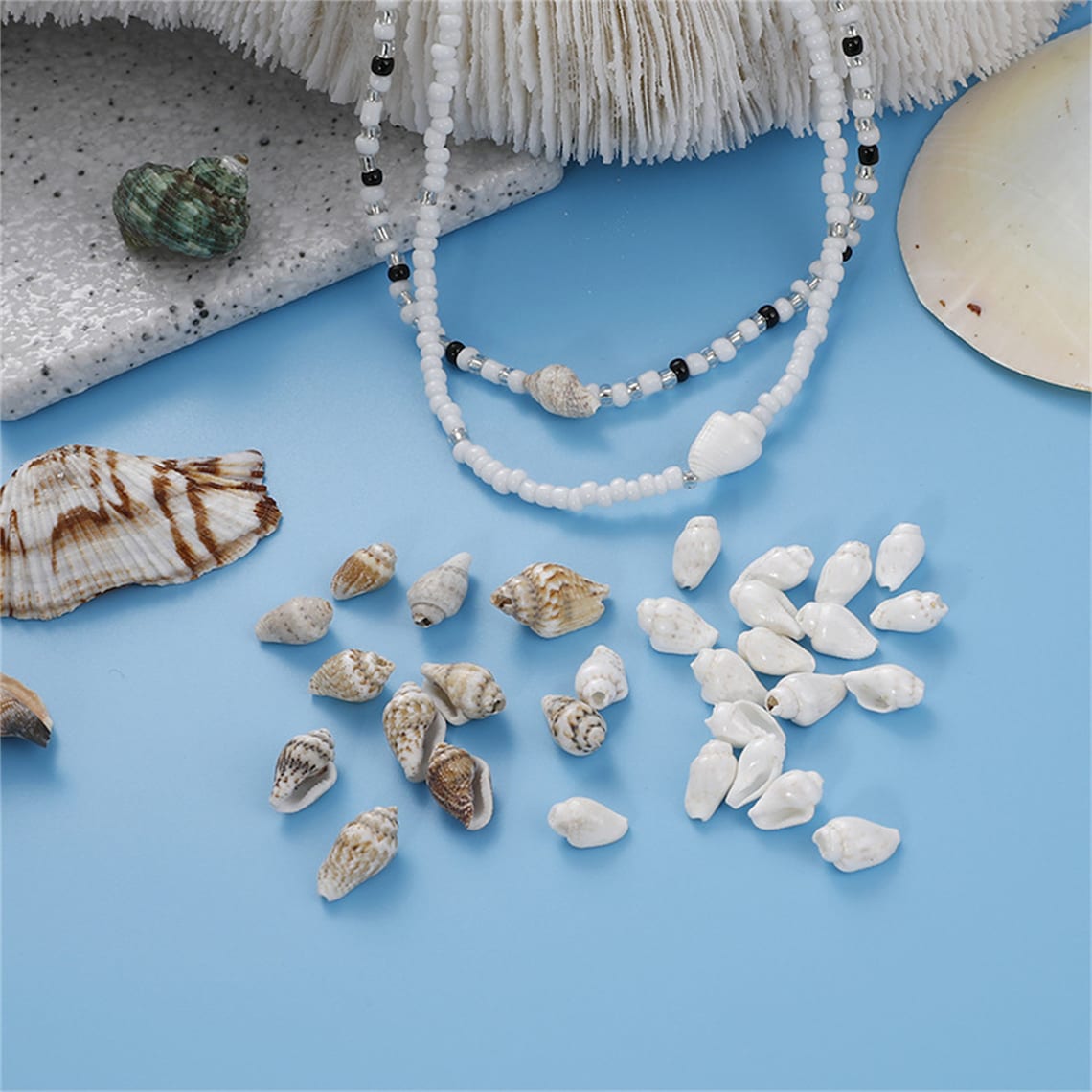 100pcs Natural Miniature Conch Shells, Natural Sea Conch Shell Bead ...