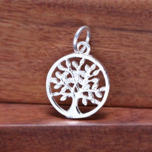 Op de afbeelding: Een zilveren hanger met een boomontwerp in een cirkelvormig frame. De boom heeft gedetailleerde takken en bladeren. Het heeft een kleine lus aan de bovenkant voor een ketting. De hanger staat op een houten achtergrond.