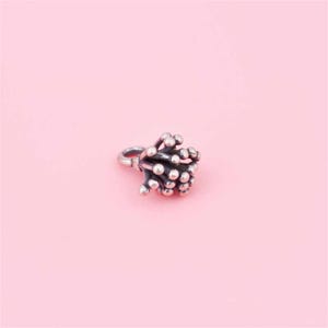 May include: A silver charm in the shape of a flower with a loop for attaching to a bracelet or necklace.