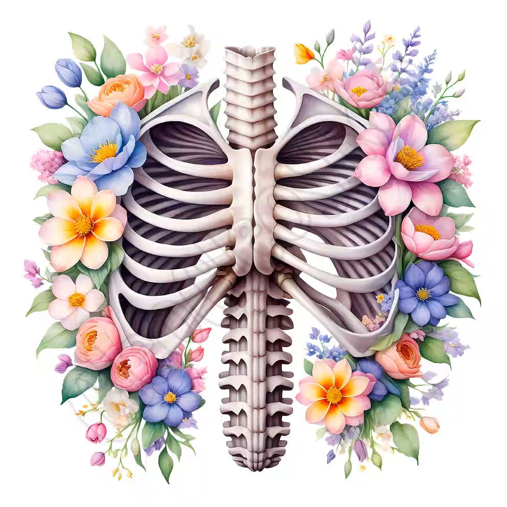 Paper Rib Cage Cute Watercolor Floral Rib Cage Clipart Bundle, 14 High-quality Pngs ...