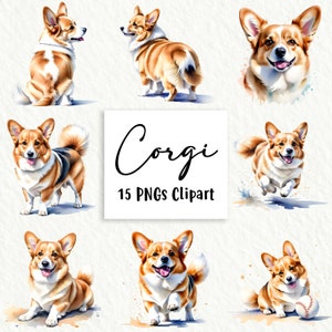 Pacchetto clipart Corgi Dog, 15 PNG di alta qualità, Wall Art, Creazioni con la carta, Abbigliamento, Stampe digitali, Uso commerciale