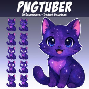 Cute Cosmic Kitty Cat Pet PNGtuber - Animated vTuber Stream 10 expressions - Giftuber Reactive Pet Animal Avatar vTuber for Twitch Streamers