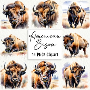 American Bison Clipart Bundle, 14 hoogwaardige PNG's, kunst aan de muur, papierkunst, kleding, digitale prints, commercieel gebruik