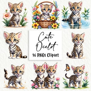 Może przedstawiać: Zestaw cyfrowych obrazów clipart z 16 obrazami przedstawiającymi urocze oceloty z kreskówek w różnych pozach. Oceloty są przedstawione w różnych sceneriach, w tym w koszyku z kwiatami, stawie i na trawiastym polu. Obrazy idealnie nadają się do użycia w cyfrowym scrapbookingu, tworzeniu kartek i innych projektach rękodzieła.