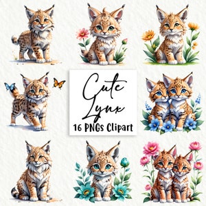 Aquarell Süßer Luchs Clipart Bundle, 16 hochwertige PNGs, Wandkunst, Papierkunst, Kleidung, Digitaldrucke, kommerzielle Nutzung