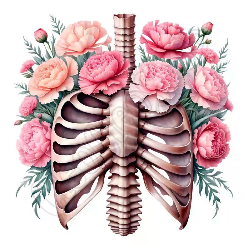 Cute Watercolor Floral Rib Cage Clipart Bundle, 14 High-quality Pngs ...
