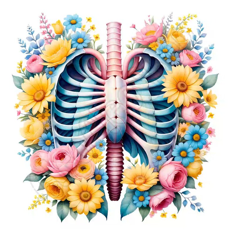 Cute Watercolor Floral Rib Cage Clipart Bundle, 14 High-quality Pngs ...