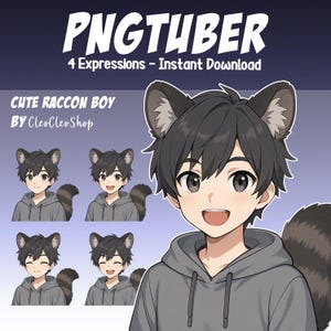 Cute Raccoon Boy PNGtuber - Cute Raccoon Boy Animated PNGtuber Stream - 4 expressions - Giftuber Reactive Avatar vTuber for Streamers