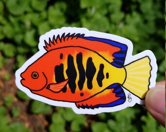 Flame Angel Fish Sticker Colorful Weatherproof Vinyl Durable