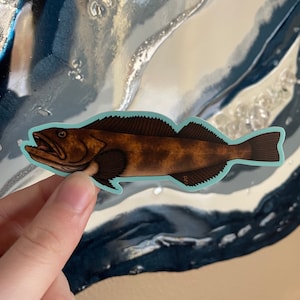 Alaskan Cod Fish Sticker Weatherproof Durable Vinyl