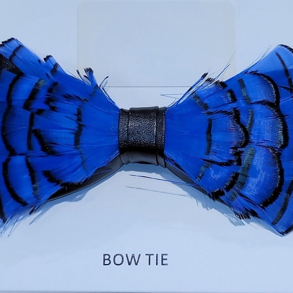 Men's Black and Royal Blue Feather Bow Tie Set