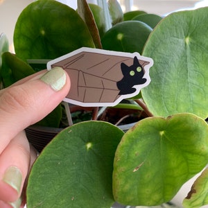 May include: A black cat sticker peeking out of a brown cardboard box. The sticker is placed on a green leafy plant.