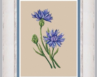 May include: A cross-stitch embroidery of two blue cornflowers with green stems and leaves on a beige background. The embroidery is framed in a white frame with a blue inner border.