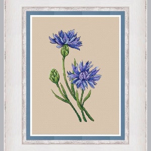Kruissteekpatroon korenbloemen - blauwe bloemen telpatroon - voorjaarsboeket Xstitch Design - Nedleepoint PDF-patroon