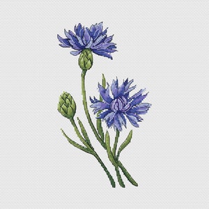 Kruissteekpatroon lentebloemen - korenbloemen getelde kruissteekkaart - plant xstitch - pdf direct downloaden - borduurontwerp