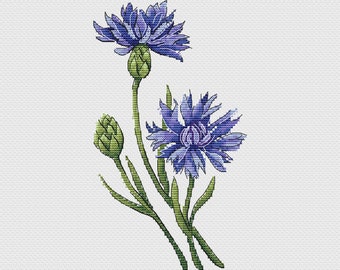 May include: A cross-stitch pattern of two blue cornflowers with green stems and leaves on a white background.