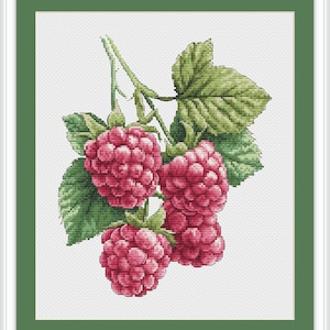 Padrão de ponto cruz de framboesa PDF – Design de bordado de frutas botânicas – Frutas vermelhas de verão, gráfico de ponto cruz contado