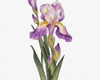 Schema punto croce Violet Iris: ricamo floreale (schema PDF)