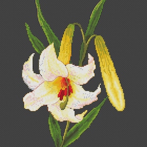 Lily Cross Stitch Pattern - White Flower Counted Cross Stitch Chart - Instant download PDF - Flowers Embroidery - Modern Cross Stitch