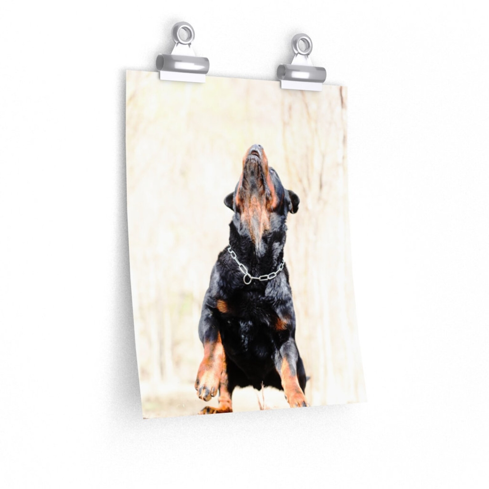 Nature Wall Art Decor Dog Photography Print Photo Large Wall | Etsy