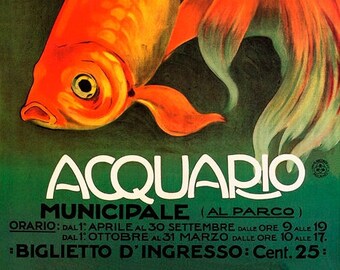May include: A vintage poster advertising a public aquarium. The poster features a bright orange goldfish with flowing fins, swimming against a dark green background. The text reads "Acquario Municipale (Al Parco)" and includes the opening hours and admission price.