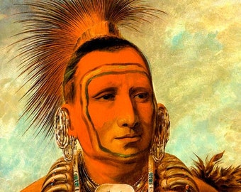 American Indian Chief Shon Ta Yi Ga Little Wolf A Warrior By George Catlin Repro