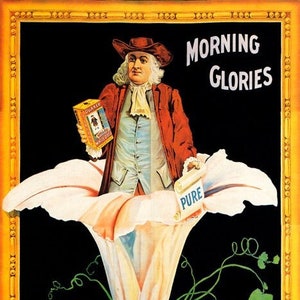 Morning Glories Quaker Oats Pure Breakfast Lily Flower Vintage Poster Repro