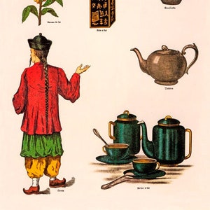May include: An illustration of a tea ceremony with a man in traditional Chinese clothing, tea leaves, a teapot, a teacup, and a box of tea. The text "LE THE" is at the top of the image.
