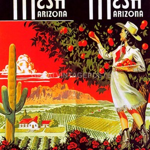 Mesa Arizona Valley Of The Sun Cowgirl Fruits USA Travel Vintage Poster Repro